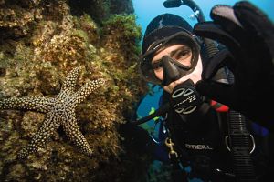 Diver and Star