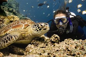 PADI Advanced Open Water Diver Course - Diver and Turtle