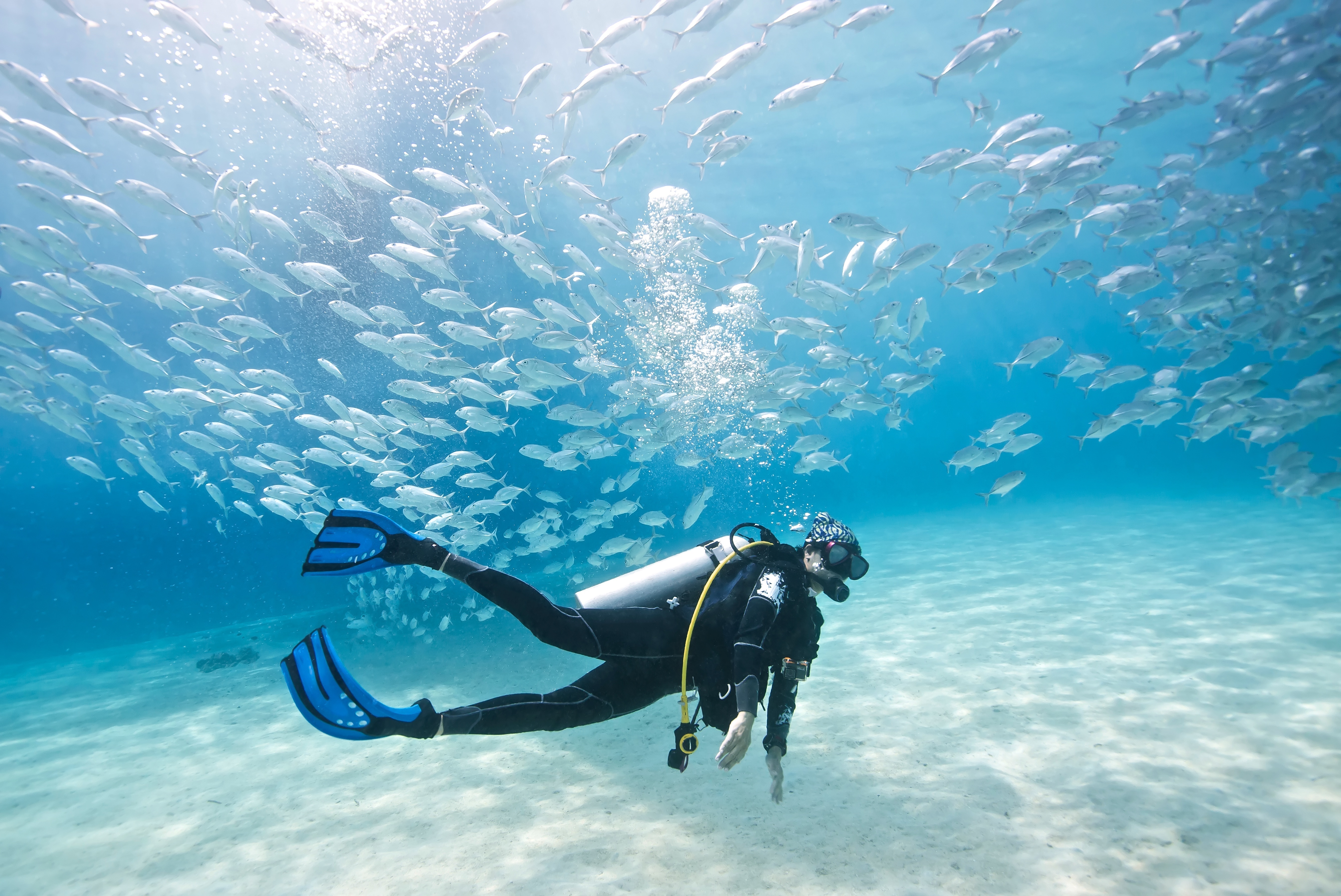 Dive! Dive! Dive! - Discover Scuba Diving on the Costa Blanca