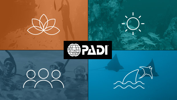 PADI: A Force for Good