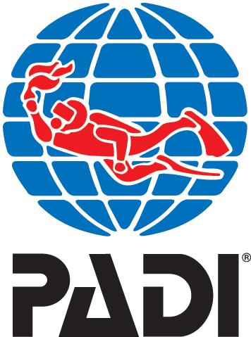 Padi Certification Chart