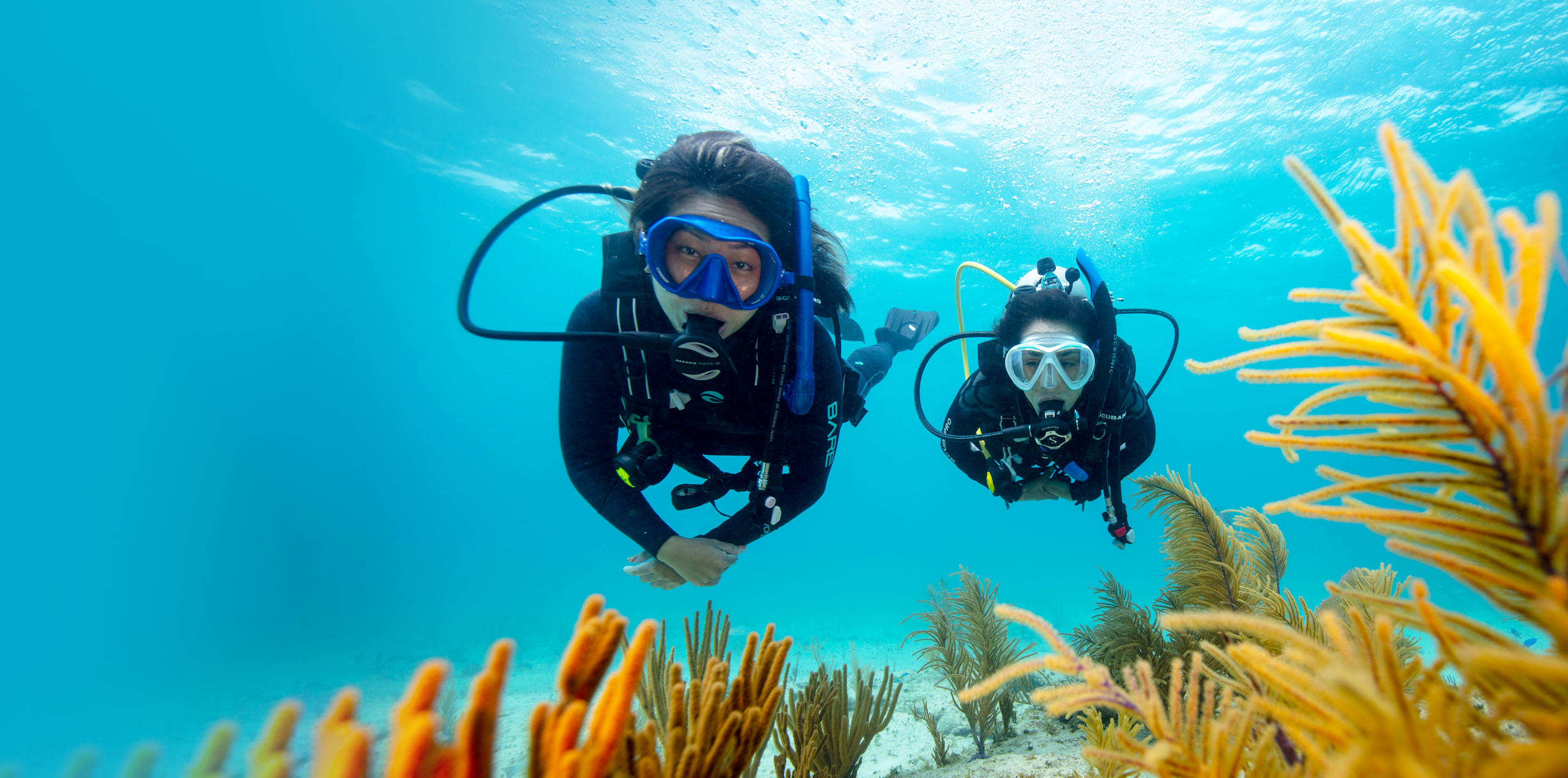 online scuba training