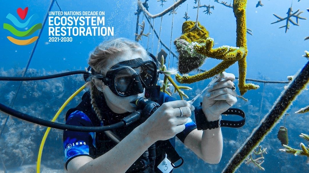 0122 Takata Experience, Coral reef restoration_(1).jpeg Takata Research Centre Coral Reef Restoration