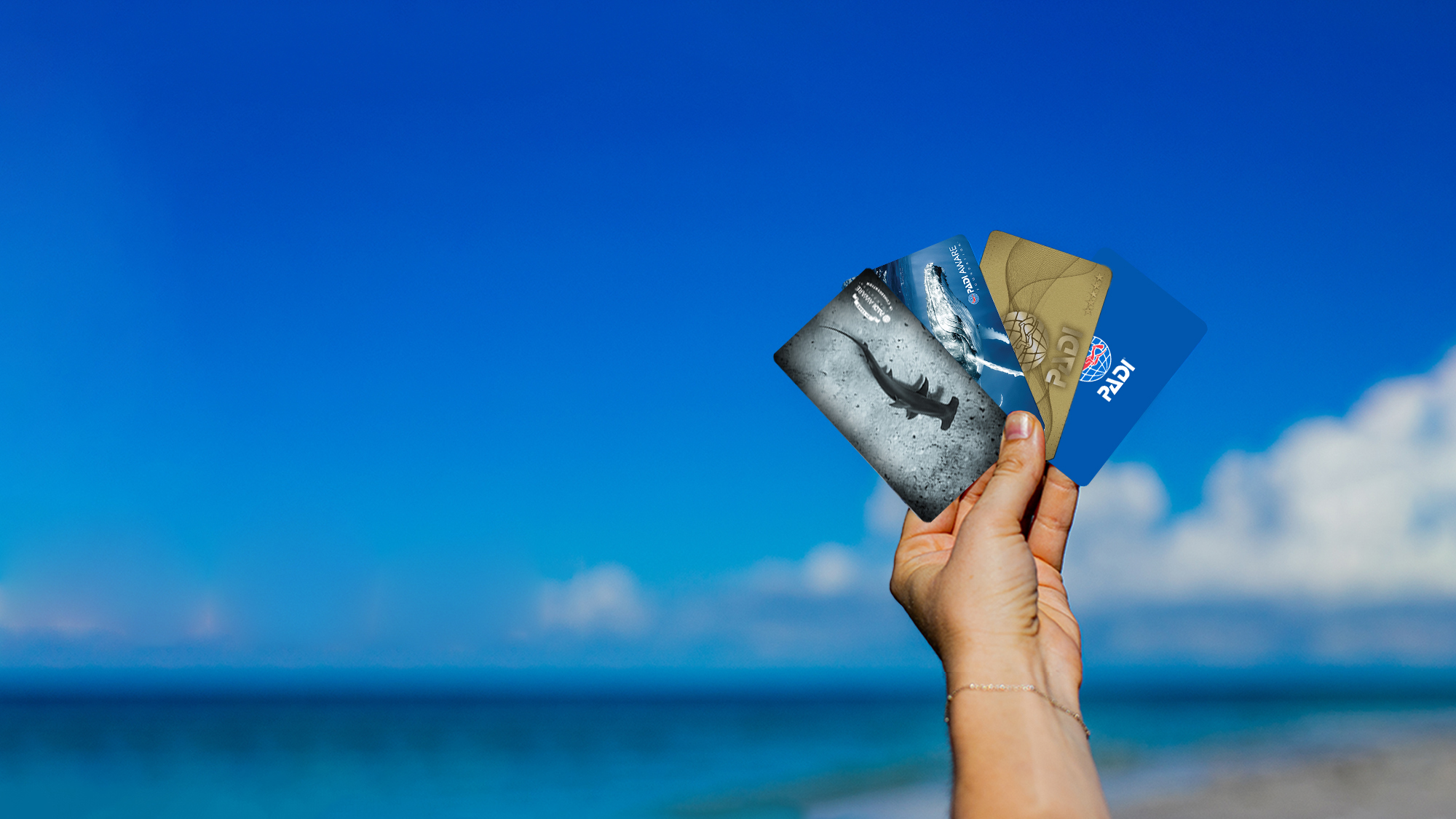 Access Your PADI Club™ Membership Benefits