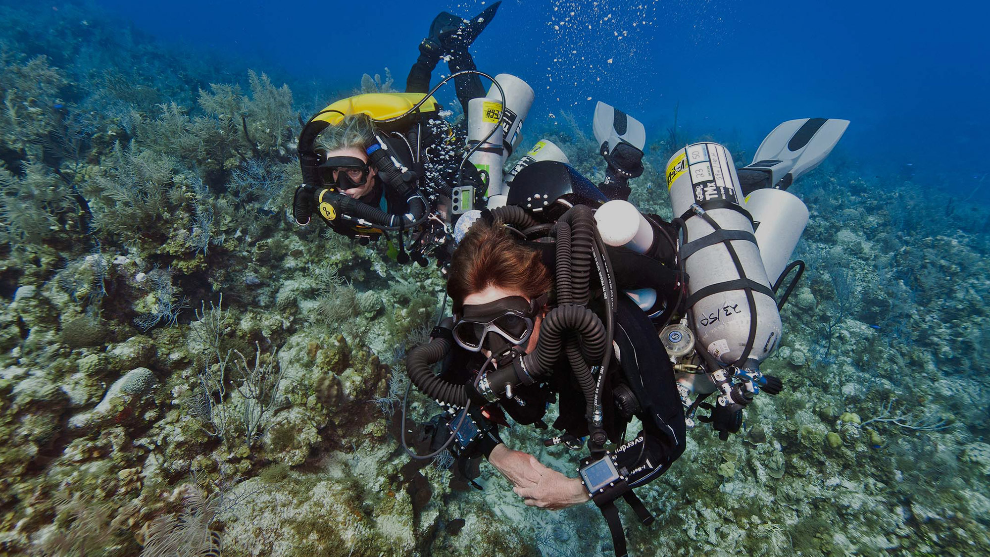 Discover New Diving Opportunities With Technical Diving