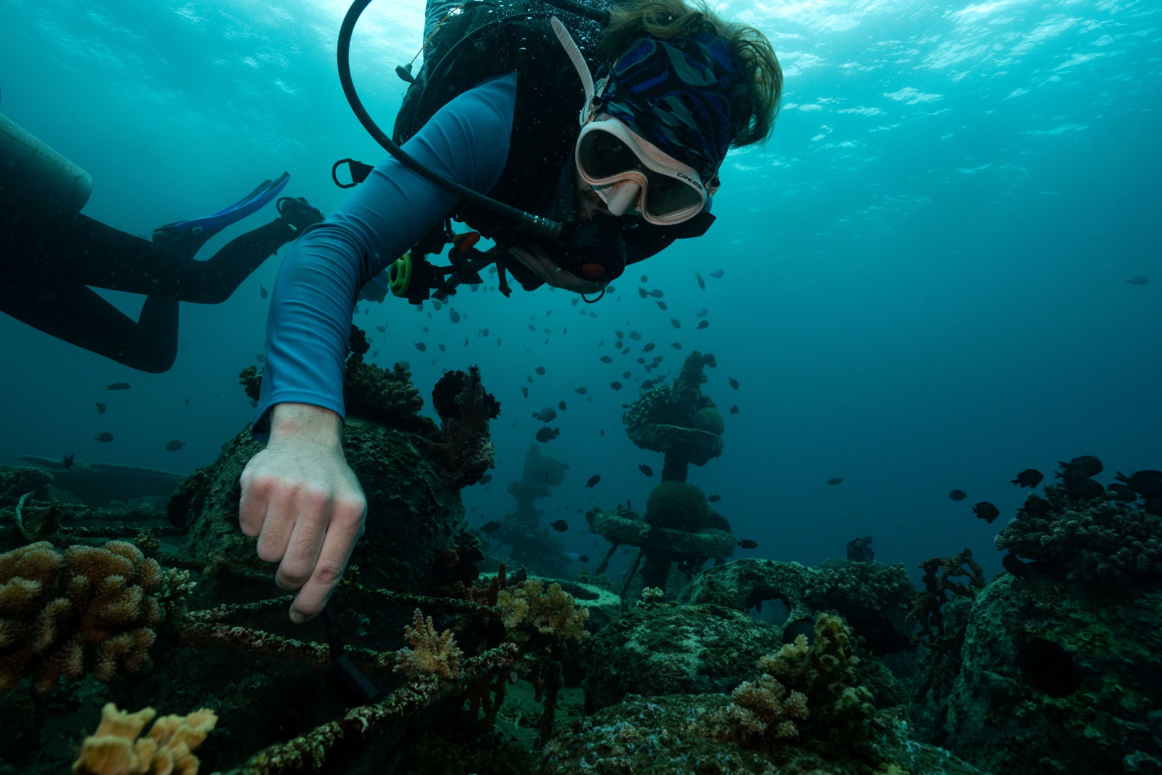 Institute for Marine Research FRAGS - IMR - Planting 1