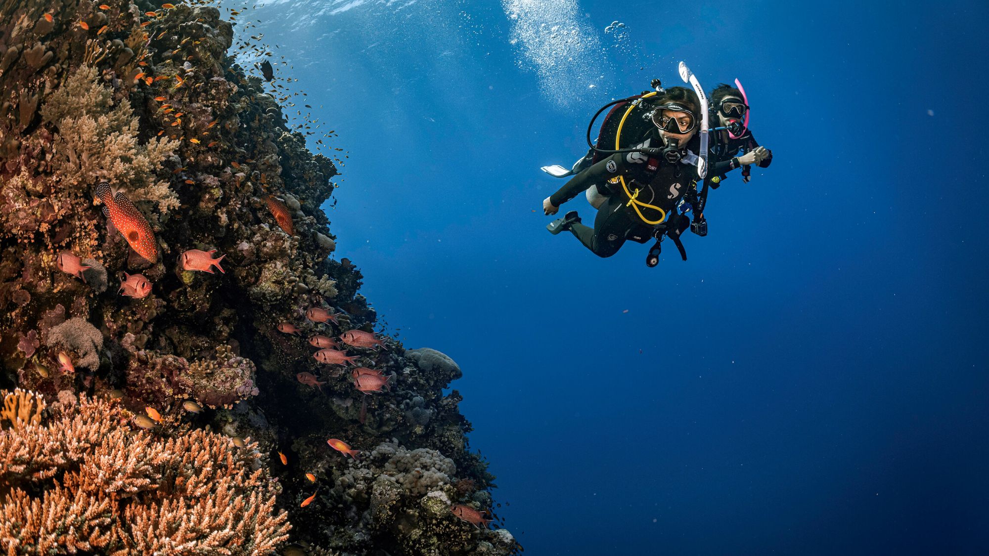 two scuba diving looking at fish underwater
