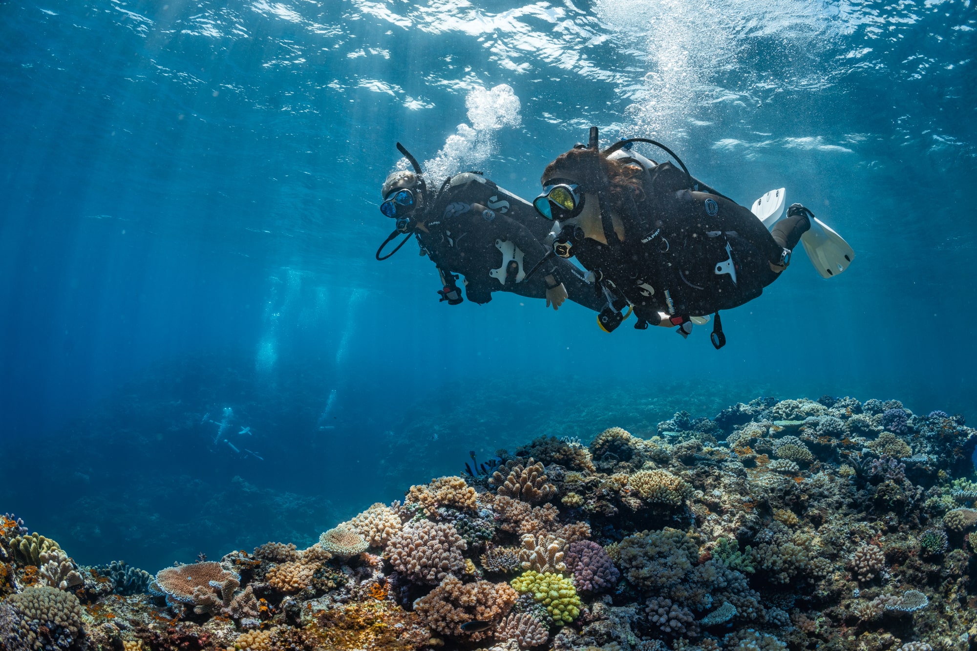 Two divers in the ocean.