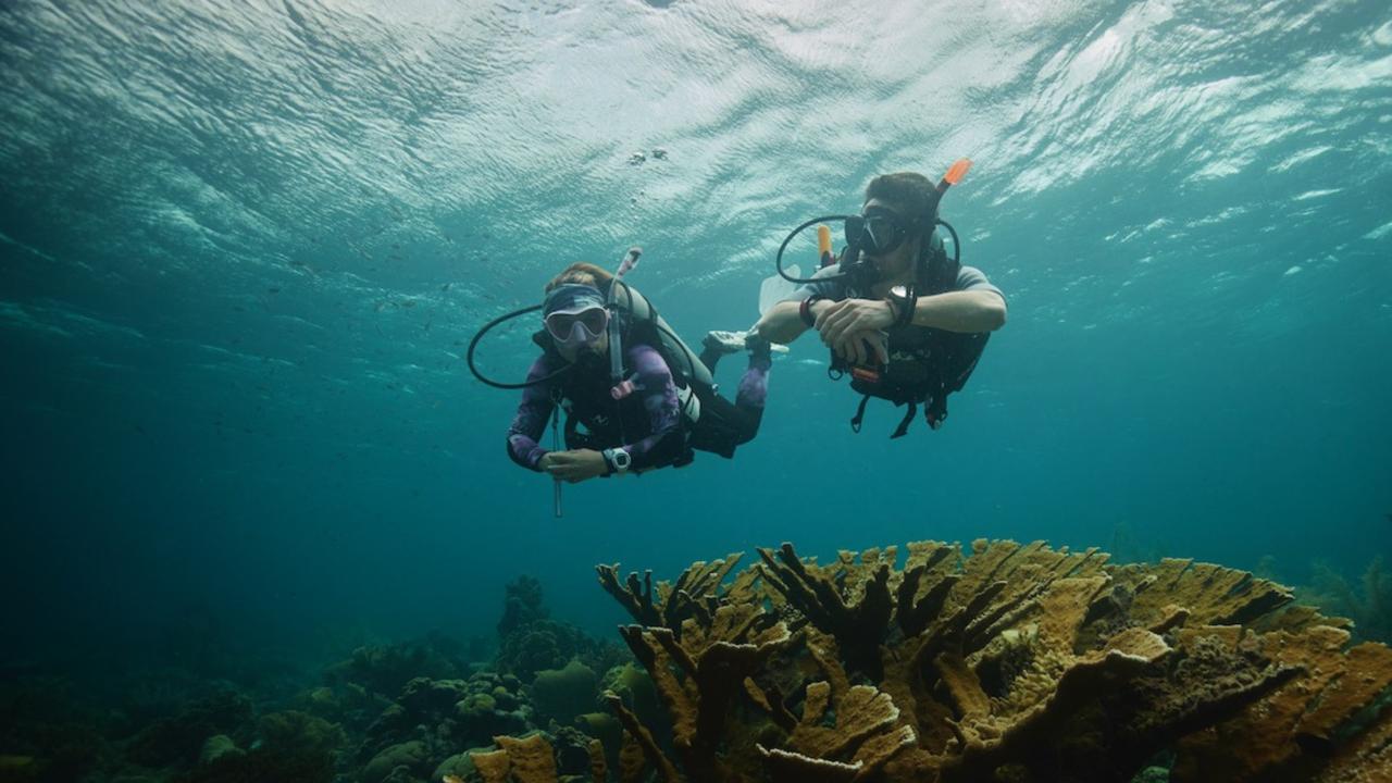 Two scuba divers starting their dive in the ocean
