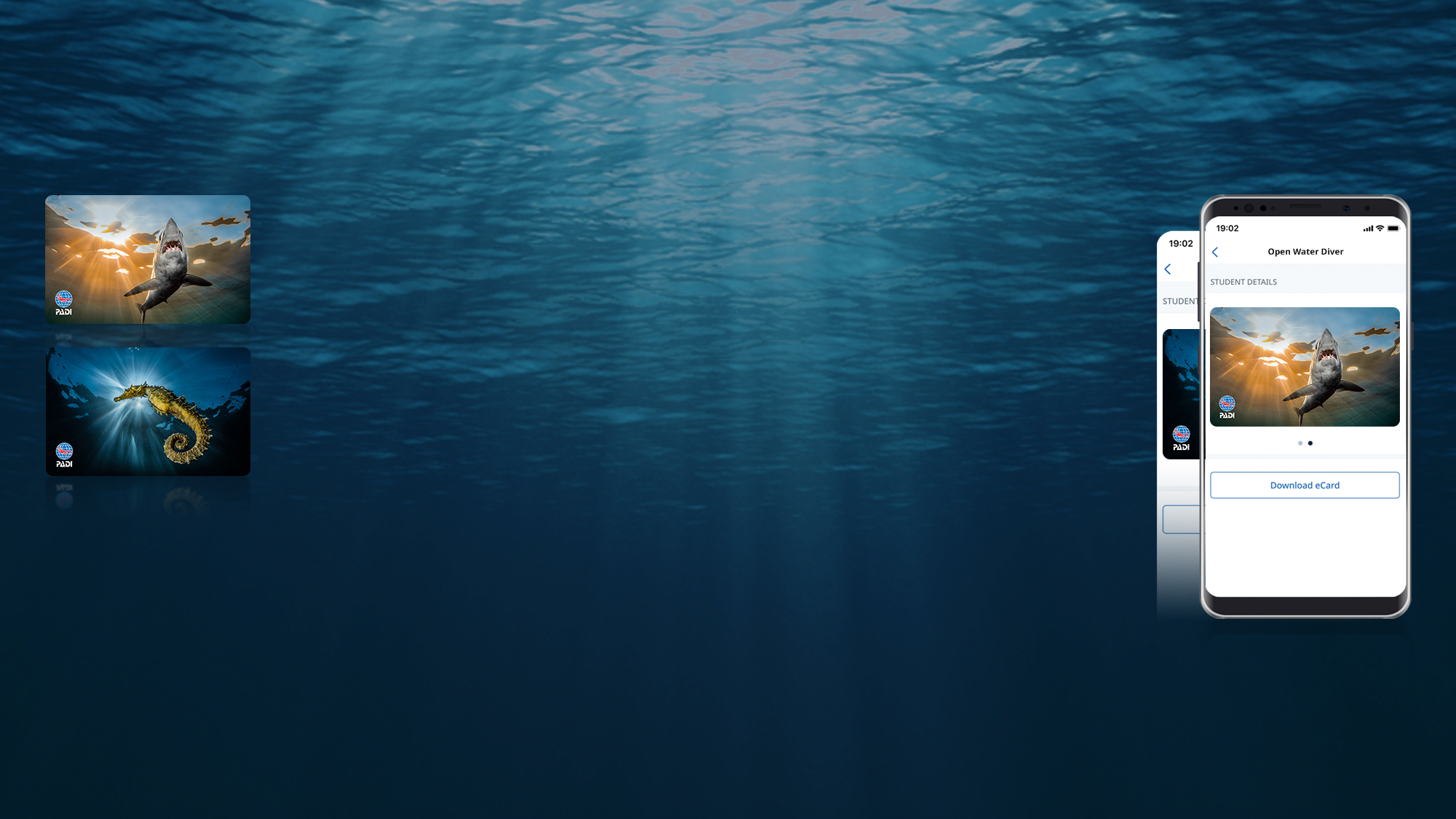 image of certification cards