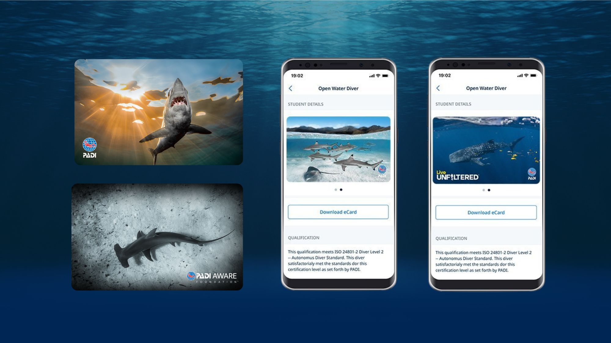 Padi Ecard Replacement – Padi Certification Cards – QEQRW