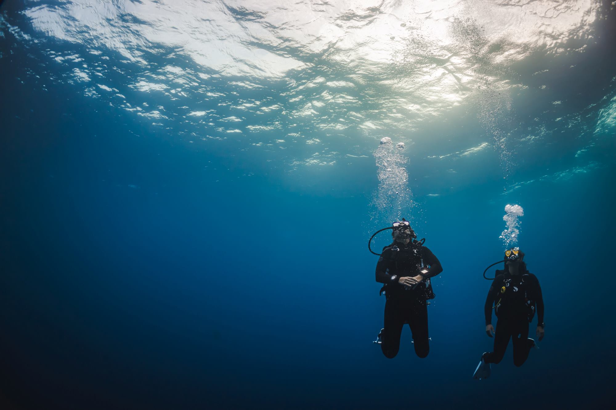 Two divers diving together near the ocean surface