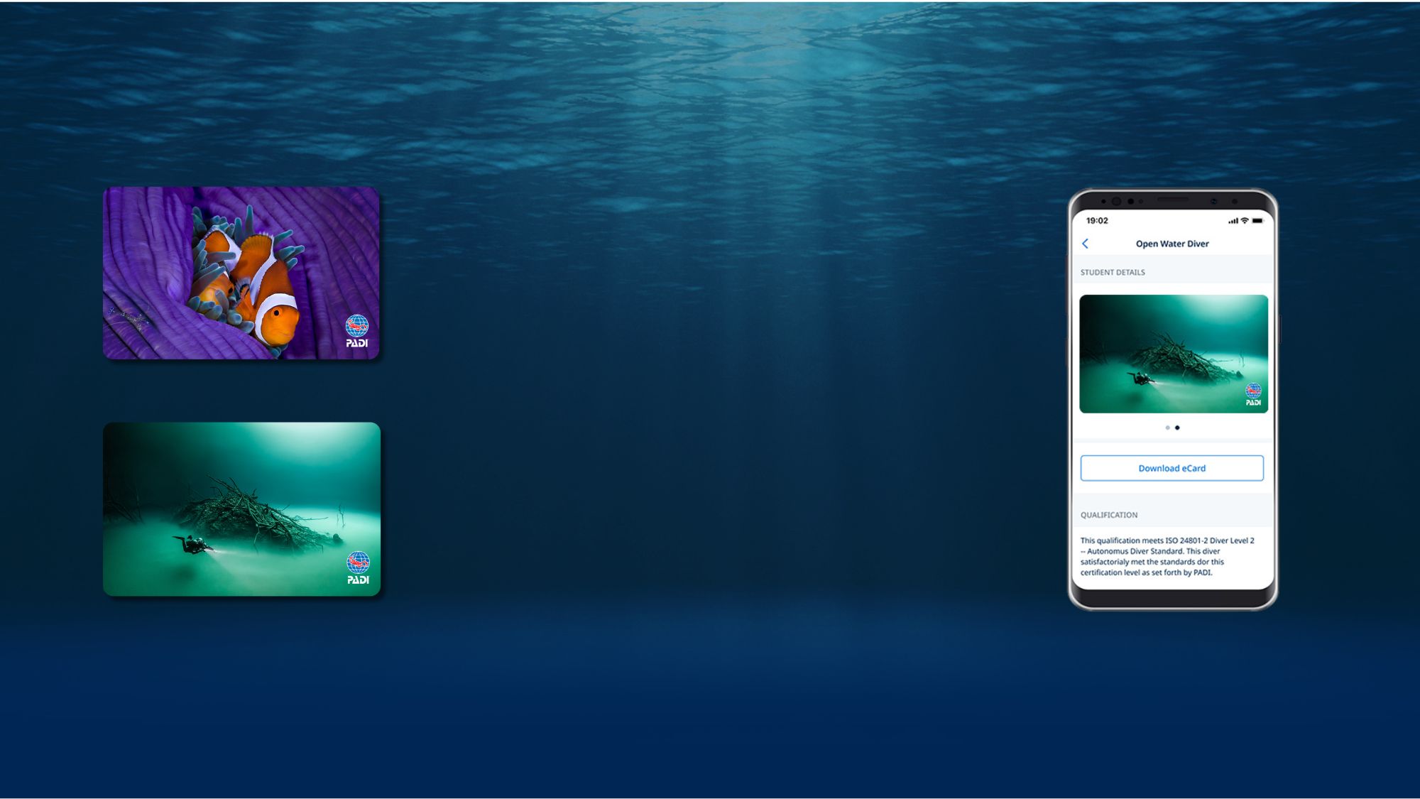 PADI certification cards