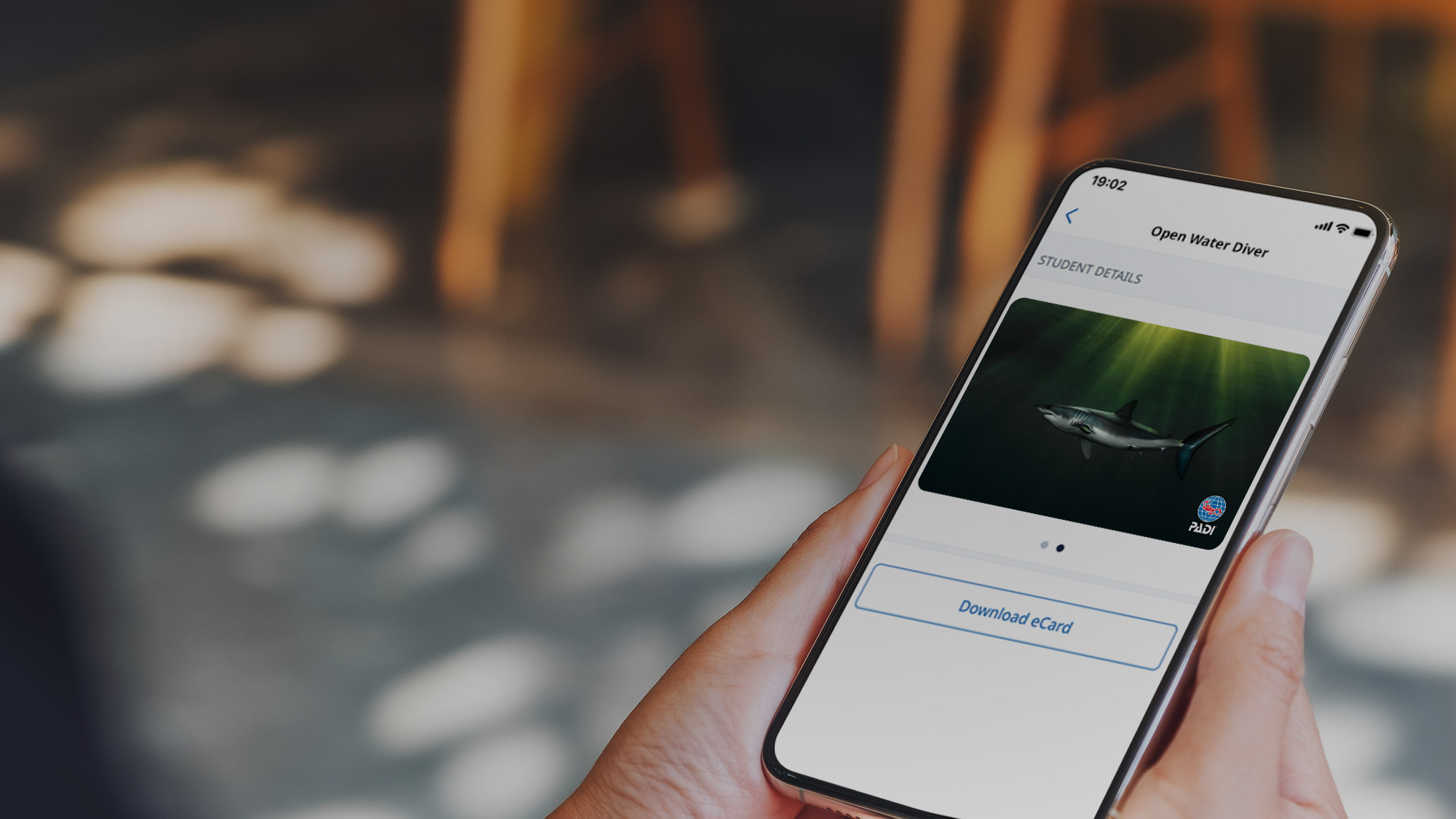 PADI Club certifications card 