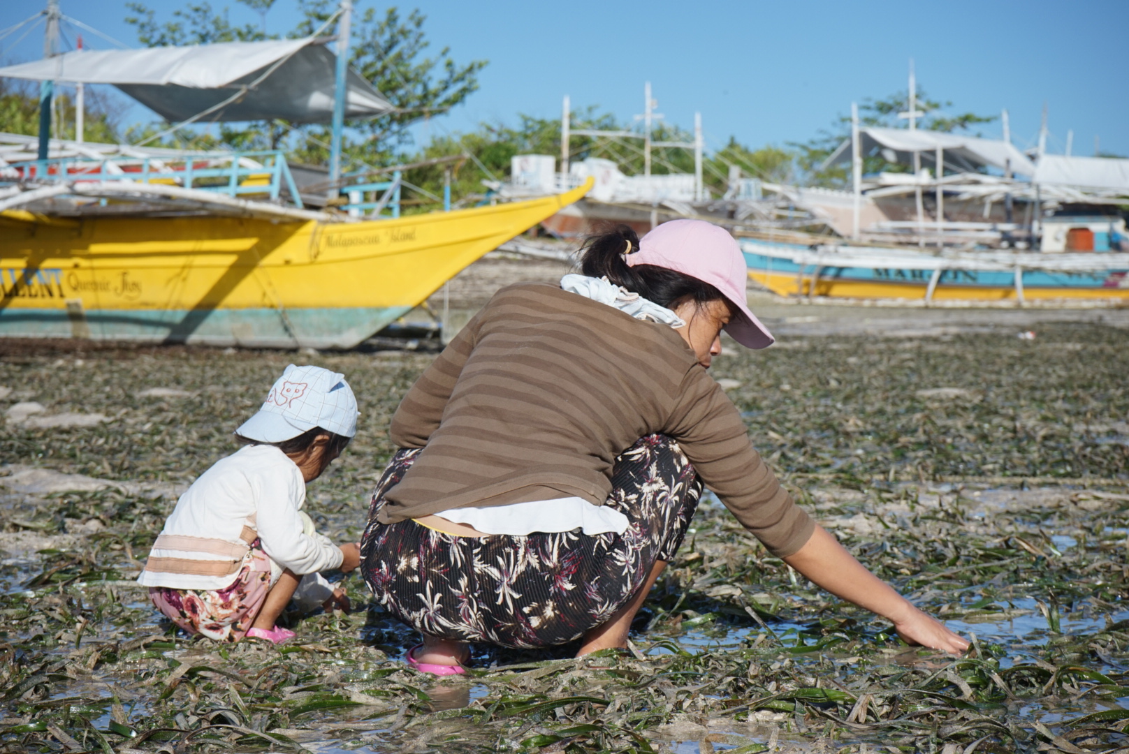 People and the Sea - Women and Child Seagrass Gleaning.