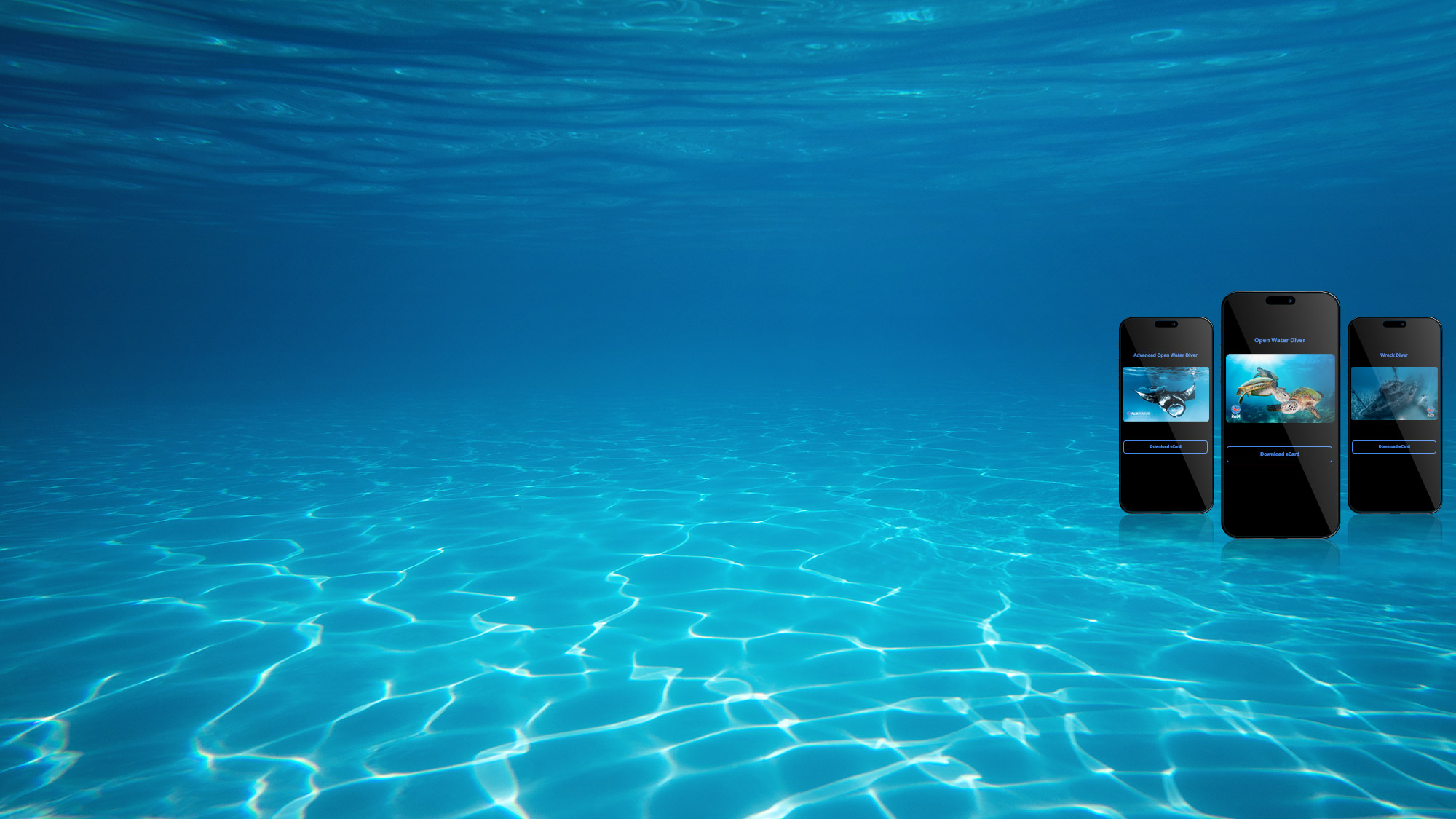 PADI certification cards