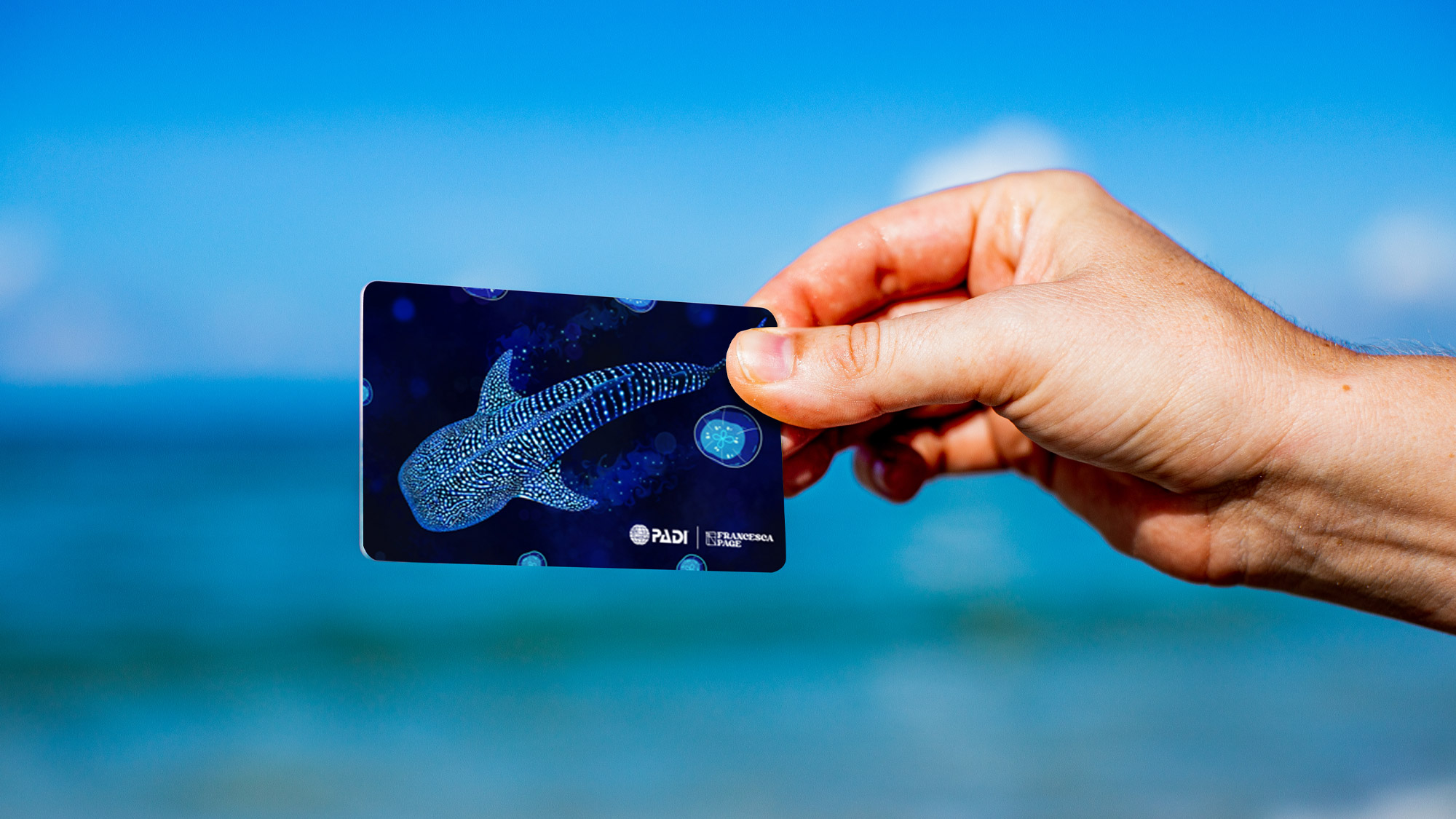 Hand holding a diver certification card with a whale shark design