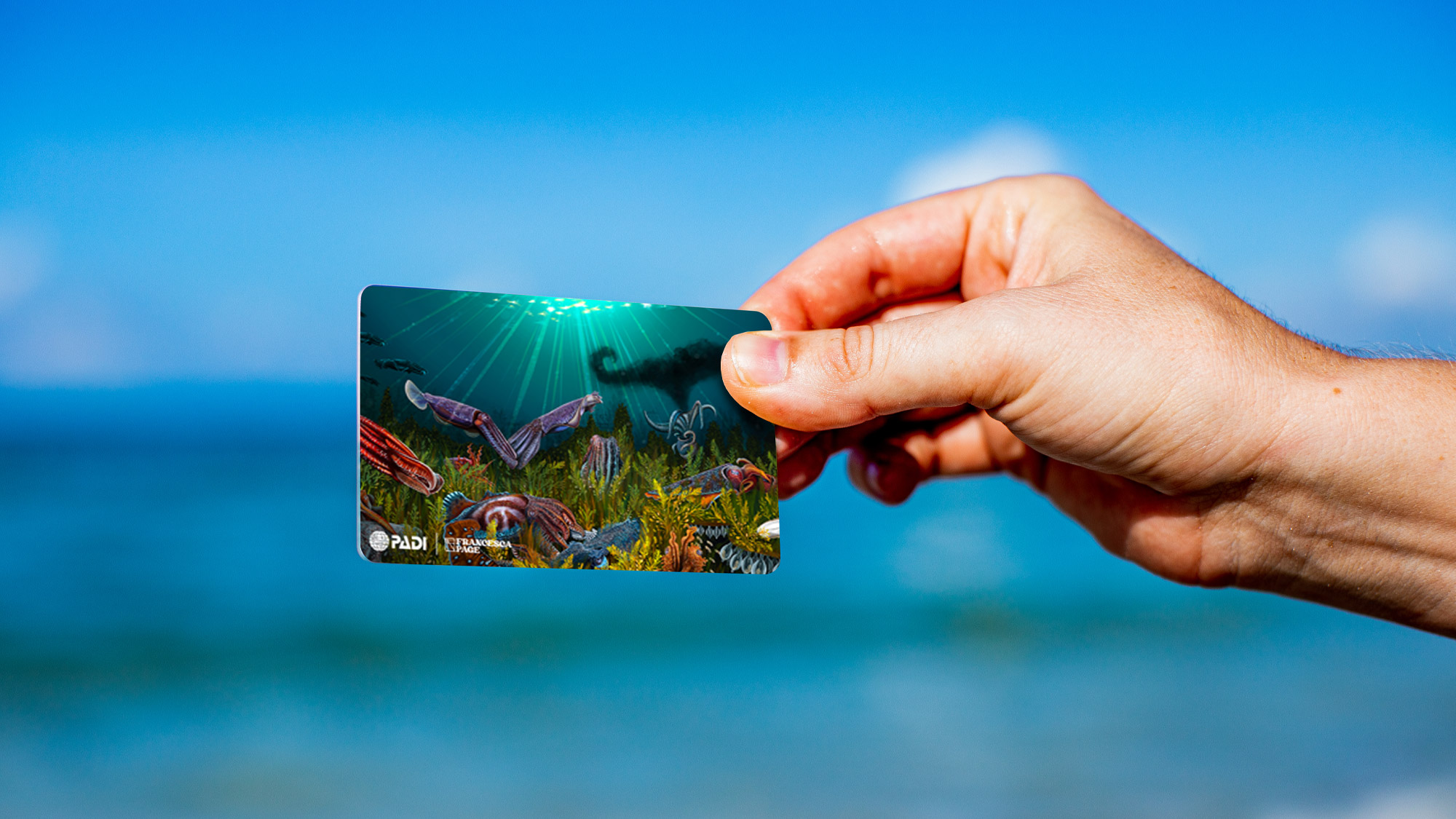 A hand holding an underwater-themed card in front of a blurred ocean background.