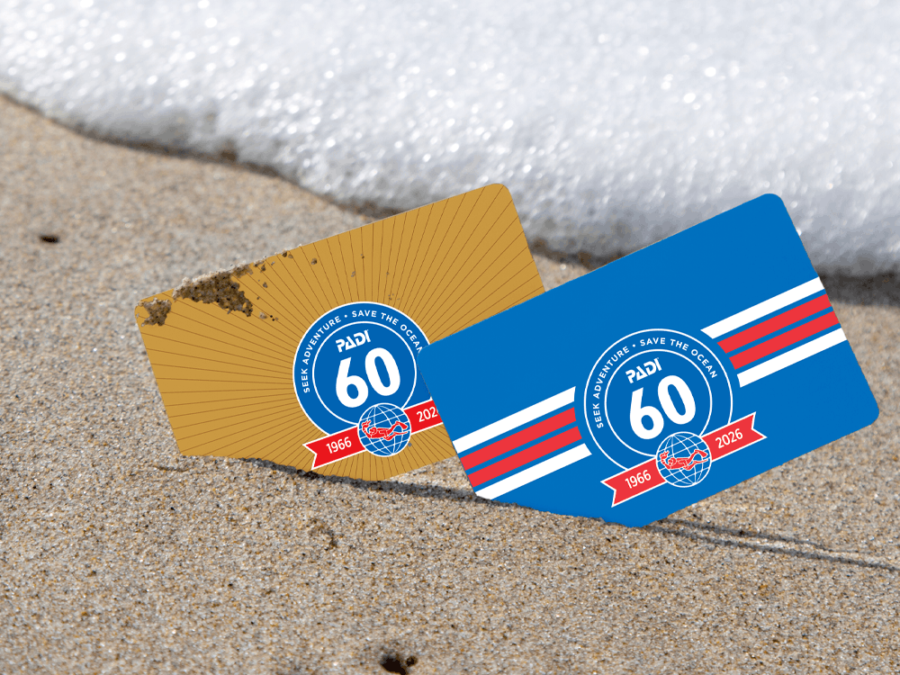 PADI certification cards featuring underwater scenes