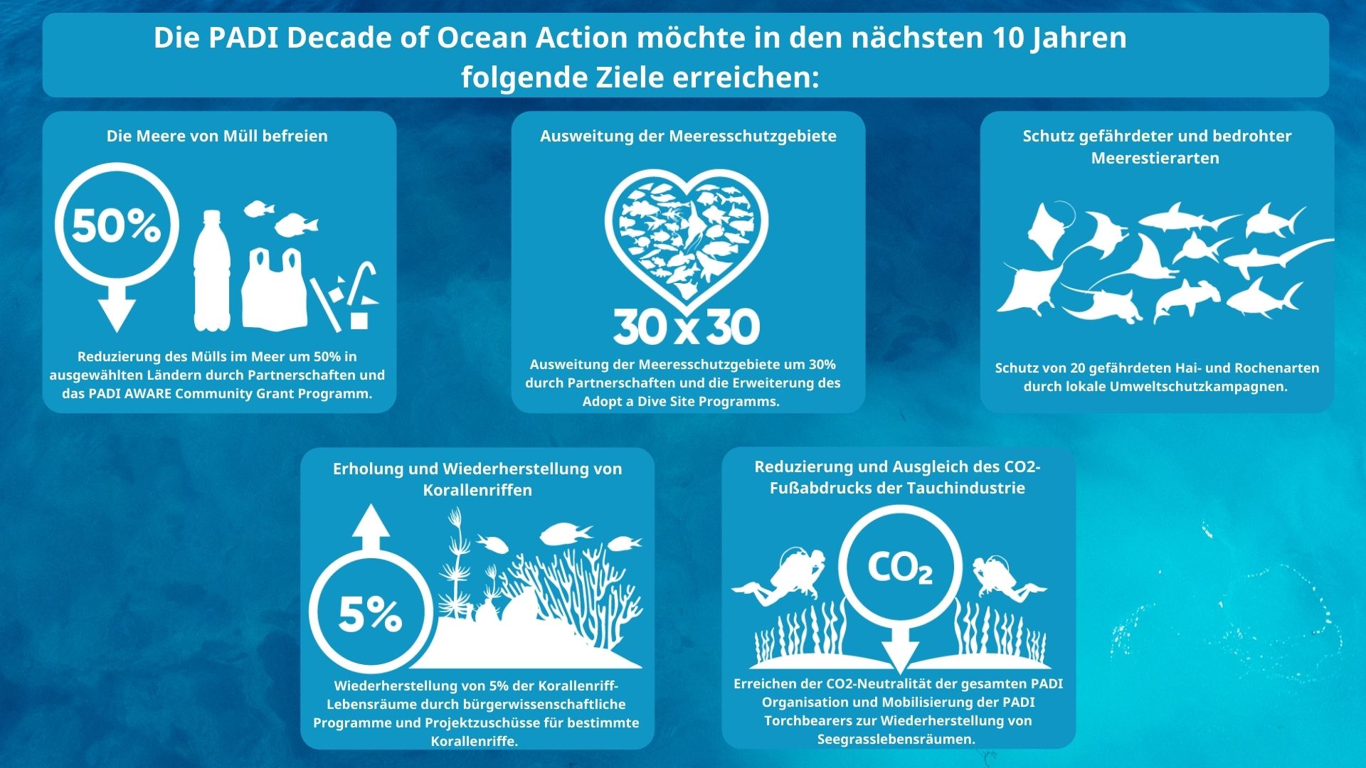 PADI Blueprint for Ocean Action_DE