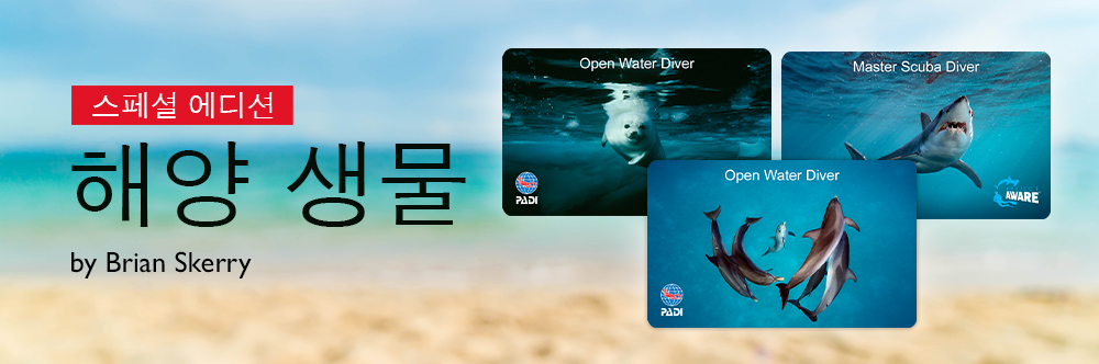 PADI Limited Certification Cards