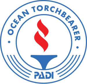 logo torchbearer