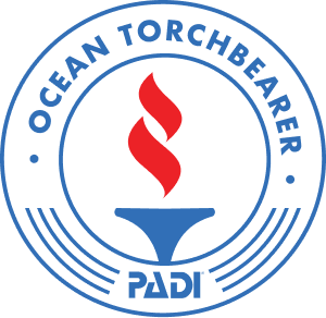 Fackelträger-Logo