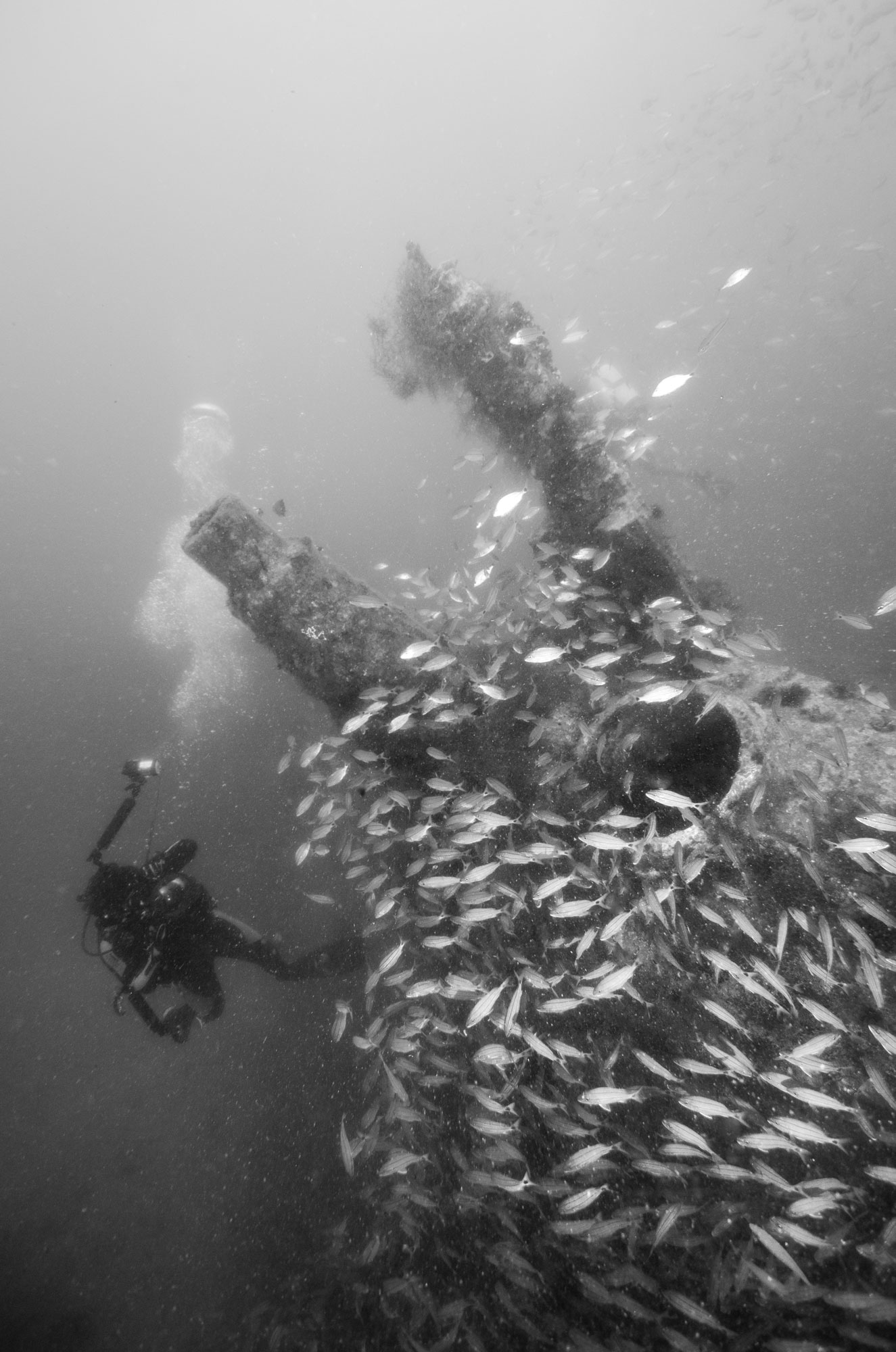 U352 Shipwreck North Carolina
