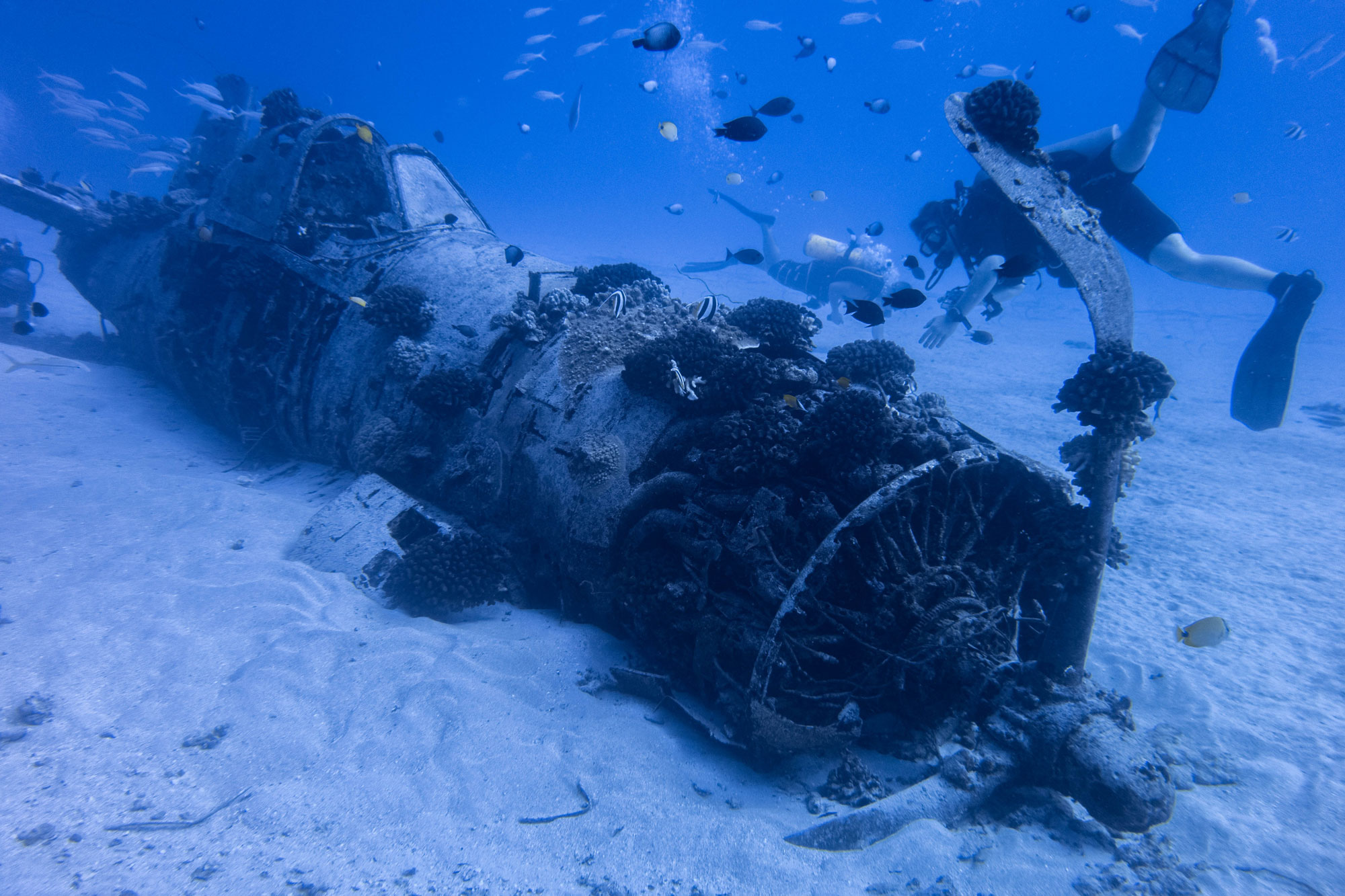 Corsair Wreck Hawaii