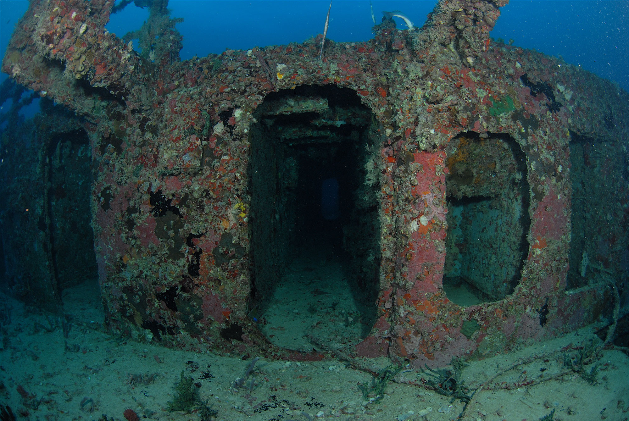 USS Spiegel Grove Wreck Dive