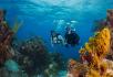 Two divers swimming through coral.