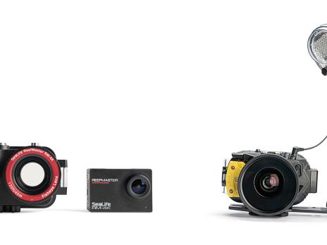 Best Scuba Diving Cameras and Lights