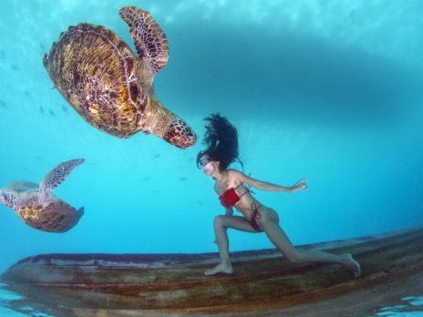 PADI AmbassaDiver Leng Yein swimming underwater with sea turtles.