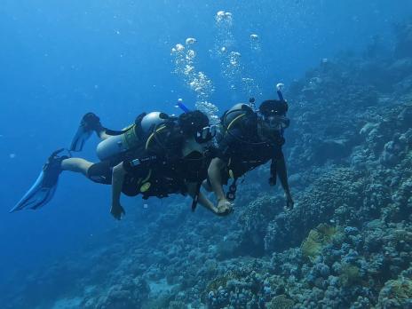PADI AmbassaDivers Prachi and Harsh scuba diving underwater.