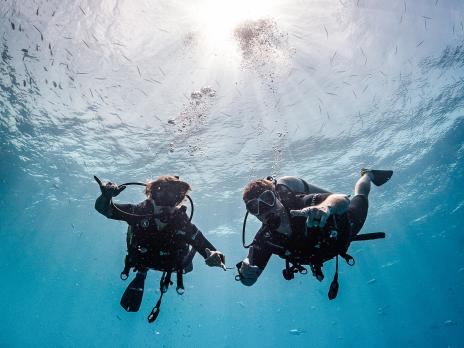 PADI AmbassaDivers Expedition Rove scuba diving.