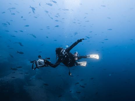 Alex Garrido for PADI AmbassaDivers