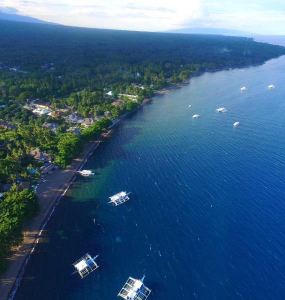 Mike's Dauin Beach Resort - aerial view of Dauin