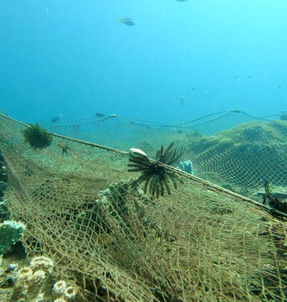 Ghost nets tangled on the reefs