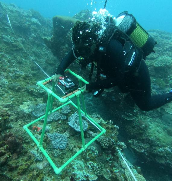 0124 - Maputo Dive Center - Scientific Diving Student using photo quadrant