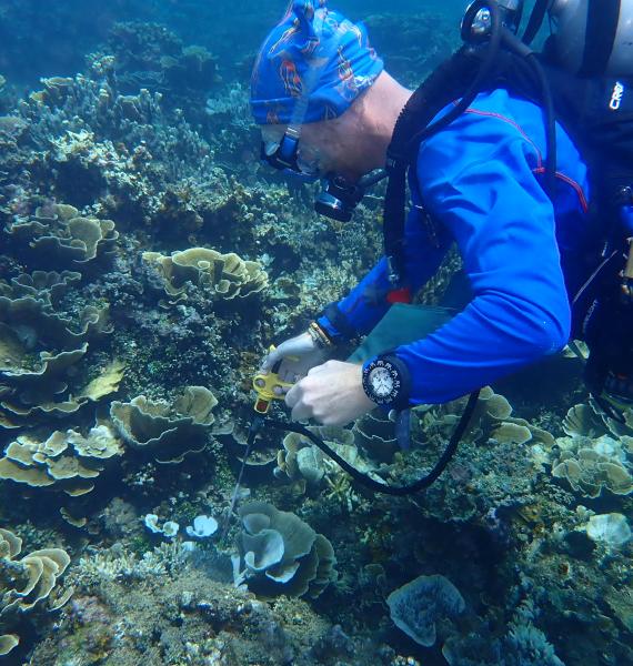 People and the Sea - COTS Injection