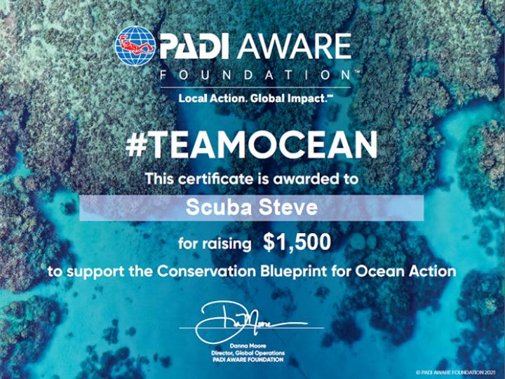 Team Ocean Certificate