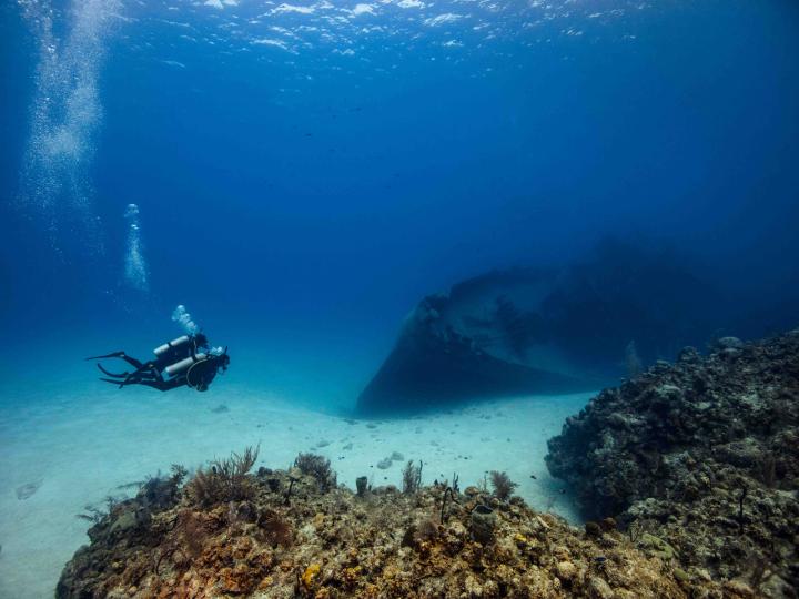 Diver swimming on the ocean floor.