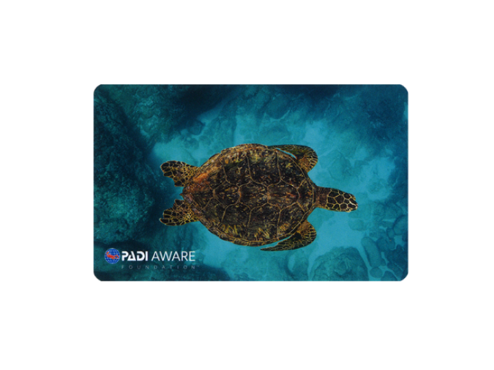 aware design card for 2024