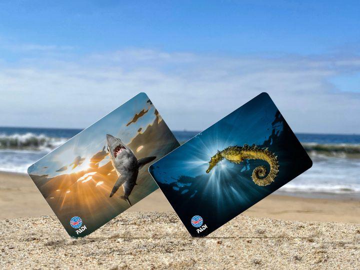 image of diver certification cards