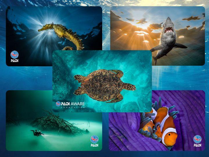 PADI certification cards