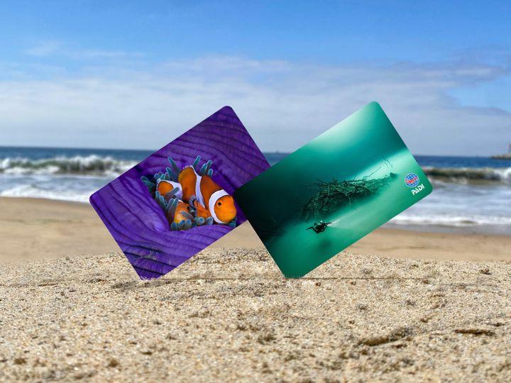 PADI certifications card, clownfish and scuba diver underwater design
