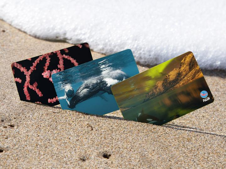 New PADI Certification Cards
