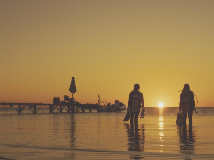 Scuba divers walk into the ocean during sunset 