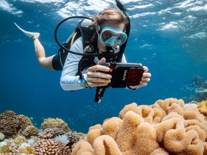 Female diver underwater taking a photo of a coral