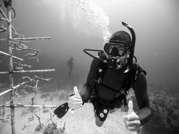 A diver giving a thumbs up underwater
